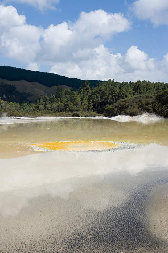 无人,竖图,室外,白天,正面,旅游,度假,美景,森林,树林,温泉,植物,雾,新西兰,阴影,沸腾,光线,蒸汽,影子,景观,云,云朵,水蒸气,雾气,云彩,娱乐,树,树木,蓝色,绿色,白云,蓝天,天空,阳光,自然,天,享受,休闲,温暖,景色,放松,泉水,生长,温和,晴朗,成长,气体,自然风光,大洋洲,蒸发,纽西兰,长白云之乡,新西兰北岛,地热,罗托鲁阿,罗托鲁瓦,陶波,晴空,彩图
