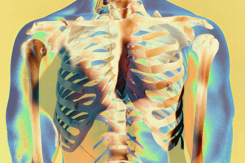 锁骨,肩胛骨,骨骼,胸骨,肋骨,无人,横图,室内,白天,正面,数码,科技,阴影,网络,骨头,高光,几何,计算机图形,合成,电脑合成图,数码合成图,骨架,合成图,写实,具体,具象,胸椎,腰骨,肋软骨,彩图