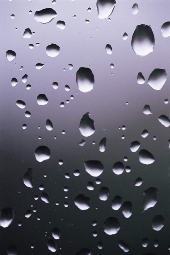 无人,竖图,室内,特写,白天,正面,水,露水,许多,阴影,灰色背景,透明,反射,液体,影子,水滴,水珠,露珠,摄影,影棚,生机,剔透,灵动,通明,彩图,影棚拍摄,拍摄,晶莹