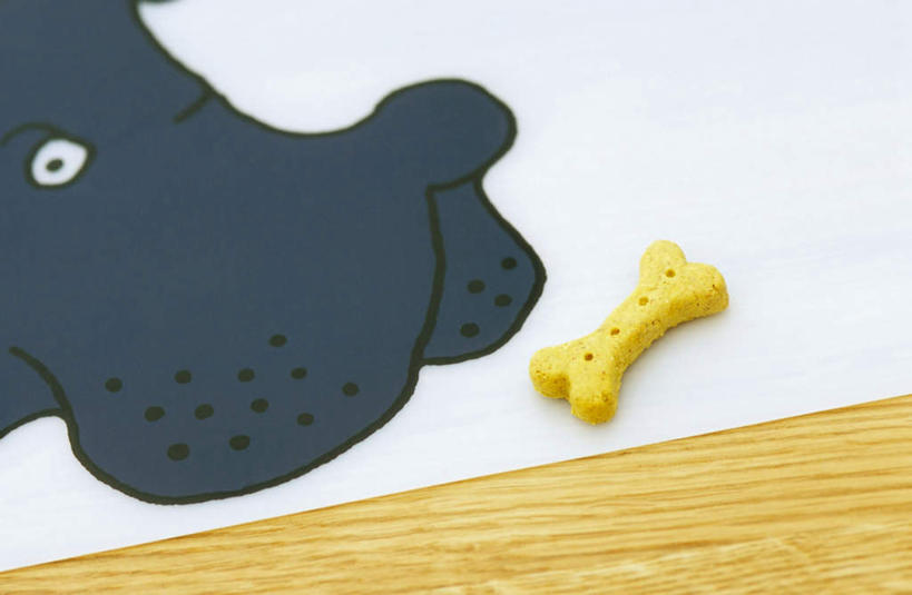 点心,无人,横图,俯视,室内,特写,白天,绘画,静物,艺术,装饰,墙,食品,骨头,文化,壁画,墙壁,墙面,食物,饼干,零食,华丽,修饰,点缀,狗粮,衬托,美观,雅致,雅观,画画,彩图,高角度拍摄