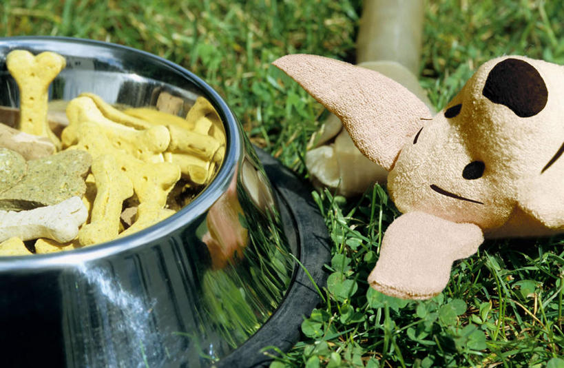 无人,横图,俯视,室外,特写,白天,游戏,餐具,玩具,金属制品,一堆,许多,堆叠,堆积,朦胧,模糊,金属,碟子,盘,食品,骨头,玩,娱乐,食物,一个,盘子,容器,碟,碗,休闲,益智,单个,活动,储藏,堆,布偶,狗粮,储存,发泄,消遣,智力,宣泄,玩耍,嬉戏,半身,彩图,高角度拍摄,贮存