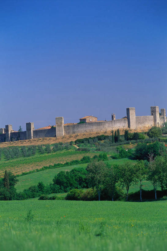 无人,竖图,室外,白天,正面,旅游,度假,草地,草坪,石头,美景,植物,意大利,欧洲,一排,许多,阴影,整齐,光线,石子,影子,堡垒,城堡,墙,景观,娱乐,墙壁,墙面,草,树,树木,排列,蓝色,绿色,蓝天,天空,阳光,自然,天,享受,休闲,景色,放松,生长,晴朗,成长,托斯卡纳,要塞,队列,南欧,自然风光,万里无云,意大利共和国,托斯卡纳大区,设防,石块,岩石,晴空,晴空万里,彩图