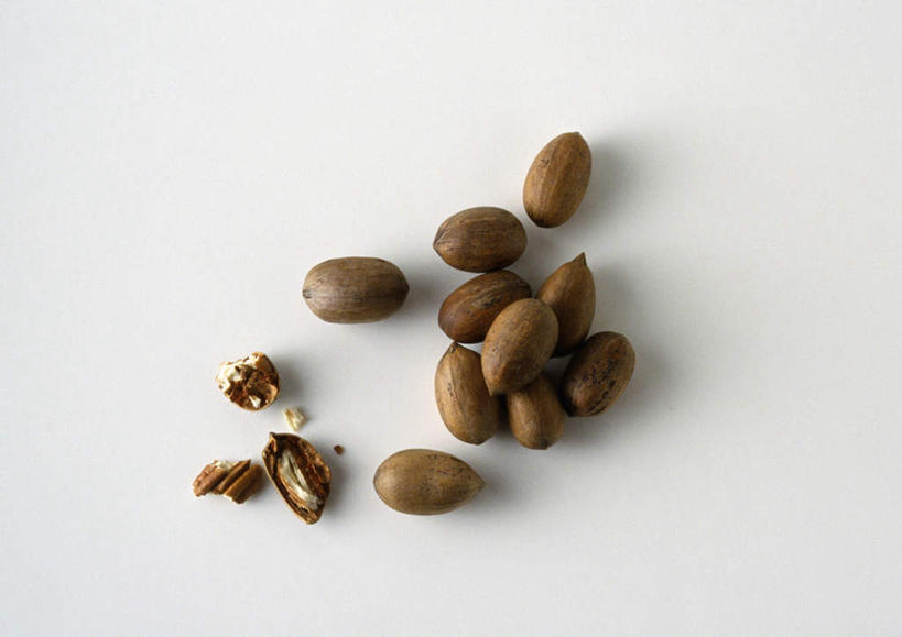 无人,横图,俯视,室内,特写,白天,白色背景,一堆,堆叠,堆积,核桃,坚果,果实,干果,摄影,影棚,堆,碧根果,胡桃,羌桃,长寿果,彩图,高角度拍摄,影棚拍摄,拍摄