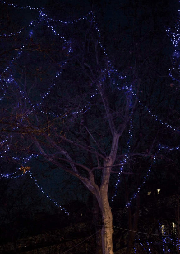 无人,竖图,室外,夜晚,正面,植物,圣诞节,节日,庆祝,装饰,彩灯,灯光,文化,灯,装饰品,树,树木,绿色,自然,装饰物,灯具,庆典,生长,成长,纪念,照明设备,彩图