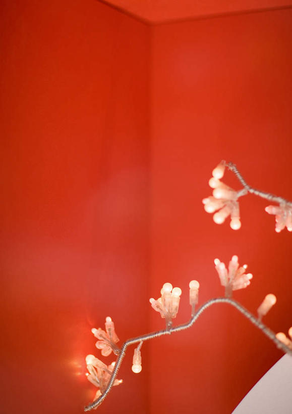 无人,竖图,室内,白天,正面,圣诞节,红色背景,节日,庆祝,装饰,彩灯,灯光,文化,灯,装饰品,装饰物,灯具,庆典,纪念,照明设备,彩图