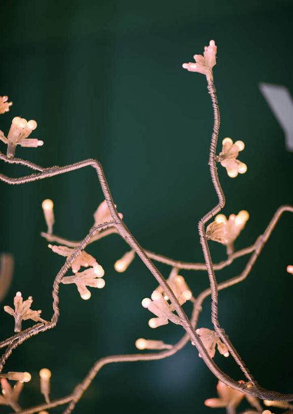 无人,竖图,室内,特写,白天,正面,植物,静物,圣诞节,许多,绿色背景,节日,朦胧,模糊,庆祝,装饰,盛开,彩灯,文化,装饰品,花,花瓣,花朵,树,树木,树枝,绿色,自然,铁丝,装饰物,庆典,生长,成长,纪念,彩图