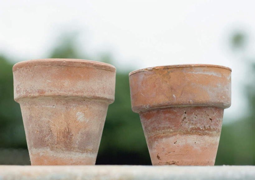 无人,横图,室外,特写,白天,正面,太阳,植物,花盆,一排,阴影,朦胧,模糊,整齐,光线,工具,盆,影子,园艺工具,园艺,树,树木,排列,两个,红色,蓝色,绿色,蓝天,天空,阳光,自然,天,生长,成长,队列,器具,彩图