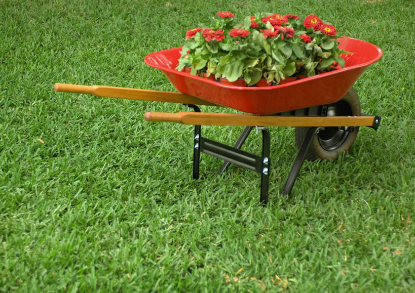 无人,横图,俯视,室外,白天,草地,草坪,太阳,植物,阴影,朦胧,模糊,盛开,光线,盆栽,影子,园艺工具,园艺,盆景,花蕾,草,花,花瓣,花朵,鲜花,绿色,阳光,自然,手推车,花苞,花蕊,独轮车,生长,成长,彩图,高角度拍摄