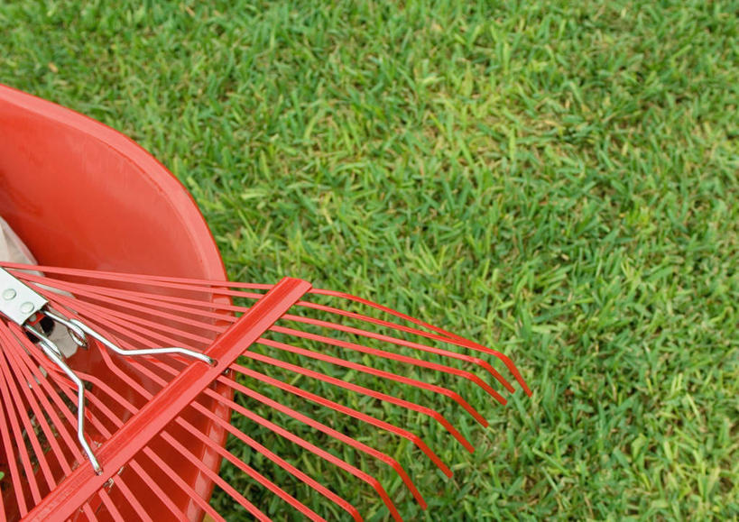 无人,花园,横图,俯视,室外,白天,草地,草坪,太阳,植物,一把,阴影,光线,扫帚,影子,园艺工具,园艺,畚箕,草,一个,一只,红色,绿色,阳光,簸箕,单个,扫把,彩图,高角度拍摄