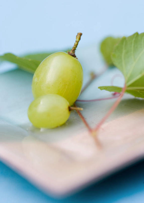 无人,竖图,俯视,室内,特写,白天,桌面,桌子,葡萄,叶子,绿叶,两个,绿色,嫩叶,摄影,影棚,叶,叶片,山葫芦,蒲桃,草龙珠,彩图,高角度拍摄,影棚拍摄,拍摄