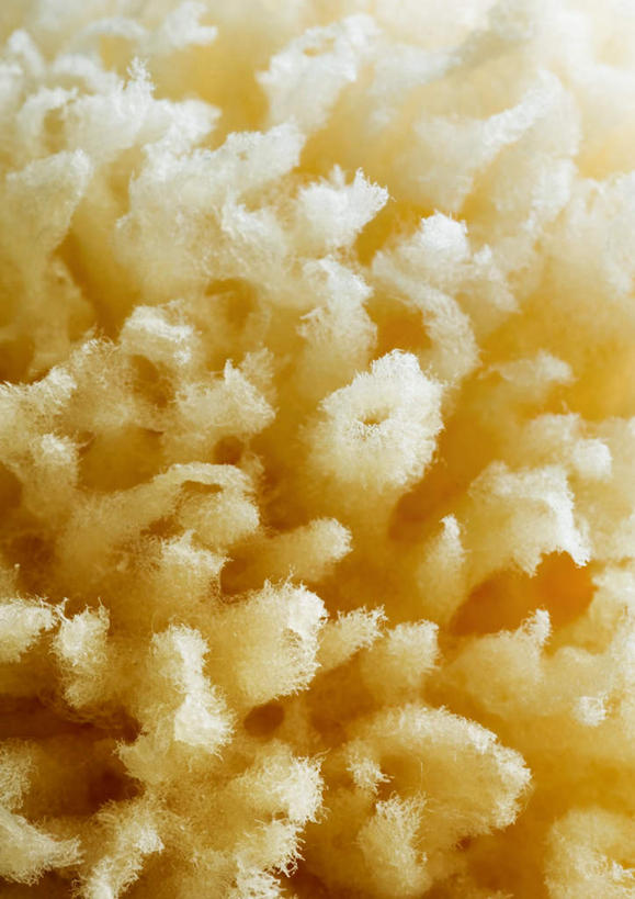 无人,竖图,俯视,室内,特写,白天,白色背景,化妆,美容,静物,护肤,海绵,黄色,清洁,保养,享受,休闲,放松,摄影,影棚,养颜,洗脸海绵,洗脸扑,洗脸绵,彩图,高角度拍摄,影棚拍摄,拍摄