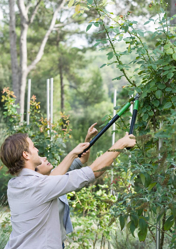 西方人,两个人,夫妻,站,竖图,室外,白天,侧面,爱情,旅游,度假,植物,欧洲,欧洲人,修剪,工具,剪刀,庭院,浪漫,拿,拿着,娱乐,树,树木,绿色,自然,站着,享受,休闲,恩爱,放松,恋人,生长,成长,剪,男人,男性,年轻男性,年轻女性,女人,女性,白种人,情侣,站立,半身,彩图,伴侣