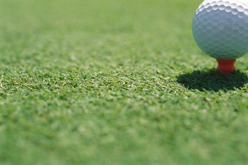 无人,横图,室外,特写,白天,正面,锻炼,运动,草地,草坪,植物,阴影,光线,高尔夫,高尔夫球,影子,球,草,一个,绿色,阳光,球体,球托,单个,高尔夫运动,体育,彩图,健身