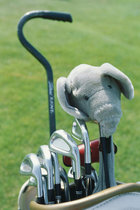 无人,竖图,室外,白天,正面,锻炼,运动,草地,草坪,植物,大象,玩具,许多,草,排列,蓝色,绿色,队列,高尔夫球杆包,高尔夫拉杆箱,高尔夫拉杆包,体育,彩图,健身