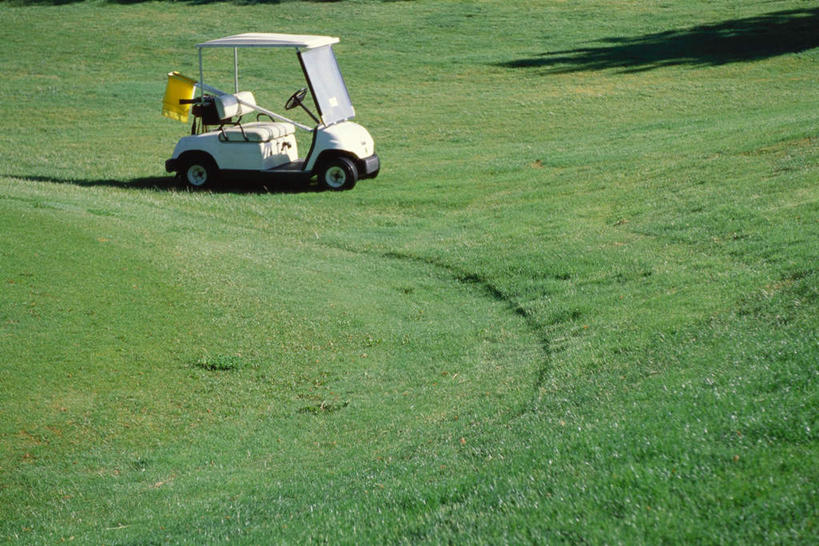 无人,横图,室外,特写,白天,正面,草地,草坪,植物,一辆,草,绿色,交通工具,高尔夫车,高尔夫球车,高尔夫观光车,高尔夫用品,彩图