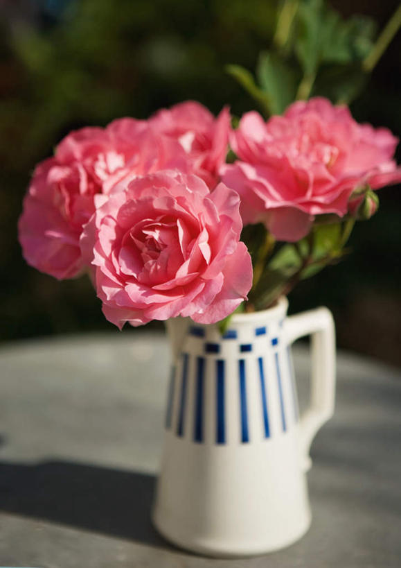 无人,竖图,俯视,室外,特写,白天,桌面,桌子,牡丹花,花瓶,叶子,许多,阴影,条纹,盛开,光线,影子,绿叶,玻璃制品,花,花瓣,花朵,花卉,鲜花,红色,阳光,玻璃瓶,瓶子,花蕊,嫩叶,鼠姑,鹿韭,白茸,百雨金,富贵花,洛阳花,牡丹,木芍药,叶,叶片,彩图,高角度拍摄