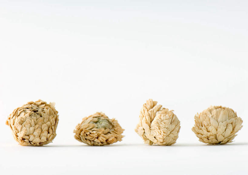 无人,横图,俯视,室内,特写,白天,白色背景,植物,桌面,桌子,一排,整齐,洋甘菊,草药,药草,中药,花瓣,排列,白色,干花,四个,活力,力量,摄影,影棚,坚强,队列,药材,中草药,中药材,本草,交往,母菊,和好,彩图,高角度拍摄,影棚拍摄,拍摄