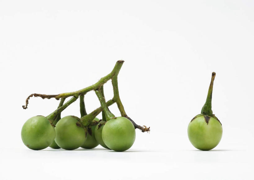 无人,横图,室内,特写,白天,白色背景,正面,桌面,桌子,茄子,蔬菜,一堆,许多,堆叠,堆积,新鲜,食品,食物,绿色,摄影,有机食品,绿色食品,影棚,堆,泰国食品,落苏,酪酥,昆仑瓜,矮瓜,彩图,影棚拍摄,拍摄