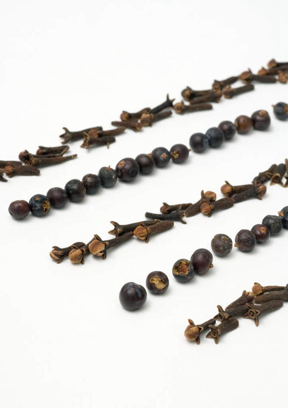 无人,竖图,俯视,室内,特写,白天,白色背景,植物,桌面,桌子,浆果,一排,许多,整齐,调料,香料,棕色,草药,药草,调味品,调味料,中药,排列,摄影,影棚,队列,药材,中草药,中药材,本草,杜松子,彩图,高角度拍摄,影棚拍摄,拍摄