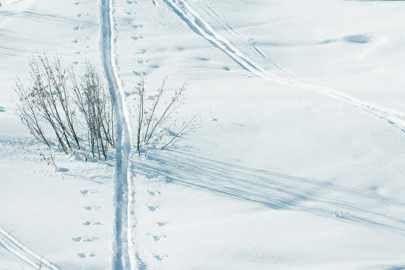 无人,横图,俯视,室外,白天,旅游,度假,草地,草坪,美景,雪,植物,大雪,脚印,积雪,景观,雪景,冬季,冬天,痕迹,娱乐,草,绿色,自然,享受,休闲,景色,放松,寒冷,冰冷,印记,自然风光,严寒,冰凉,酷寒,凛冽,凛凛,极冷,彩图,高角度拍摄