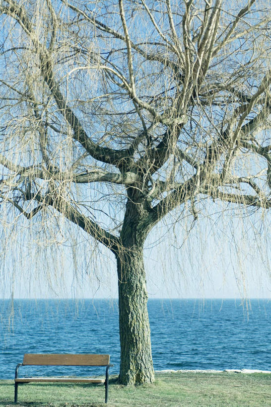 无人,竖图,室外,白天,正面,旅游,度假,草地,草坪,湖,湖泊,美景,水,植物,椅子,三棵,木椅,湖面,景观,水流,水面,水平线,辽阔,娱乐,草,树,树木,蓝色,绿色,蓝天,天空,自然,湖水,天,享受,休闲,广阔,景色,放松,生长,成长,一望无际,自然风光,无边无际,一马平川,彩图,水天相接,水天一线