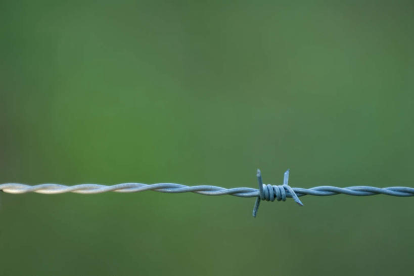 无人,横图,室外,特写,白天,正面,旅游,度假,草地,草坪,美景,植物,连接,阴影,朦胧,模糊,光线,影子,景观,娱乐,草,绿色,阳光,自然,铁丝,享受,休闲,景色,放松,自然风光,彩图