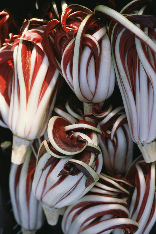 无人,竖图,室外,特写,白天,正面,美景,蔬菜,许多,阴影,朦胧,模糊,新鲜,光线,影子,景观,菊苣,食品,药草,食物,阳光,自然,景色,有机食品,绿色食品,自然风光,药材,彩图