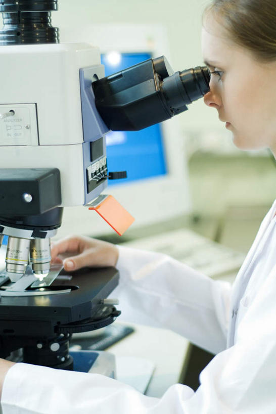 西方人,一个人,医生,竖图,室内,白天,侧面,电脑,显示器,鼠标,键盘,实验,仪器,欧洲,欧洲人,仅一个年轻女性,仅一个女性,仅一个人,检查,朦胧,模糊,研究,反射,分析,科学,显微镜,墙,实验室,研究室,墙壁,墙面,低头,观察,看,医护人员,医疗人员,台式电脑,清晰,探索,放大,观看,仔细,一台,透镜,科研,操作,凸透镜,聚焦,白大褂,关注,化验,检验,研究所,实验器材,化验室,检验室,光学,清楚,年轻女性,女人,女性,白种人,大夫,半身,彩图