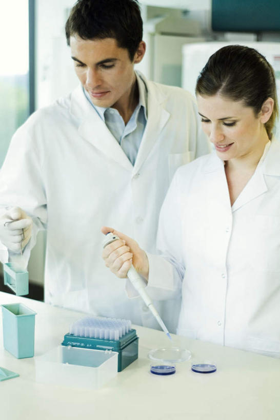 西方人,两个人,医生,站,笑,微笑,露齿笑,竖图,室内,白天,正面,实验,仪器,窗户,桌子,杯子,欧洲,欧洲人,朦胧,模糊,研究,透明,分析,科学,化学,测试,试管,办公桌,墙,实验室,研究室,注视,玻璃窗,墙壁,墙面,玻璃制品,玻璃瓶,瓶子,低头,观察,看,站着,医护人员,医疗人员,器皿,观看,科研,察看,操作,白大褂,关注,化验,检验,计量,研究所,玻璃仪器,试验耗材,实验用品,化验室,检验室,男人,男性,年轻男性,年轻女性,女人,女性,白种人,大夫,玻璃杯,站立,半身,彩图