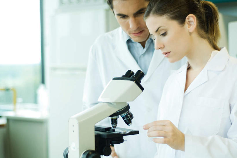 西方人,两个人,医生,站,横图,室内,白天,正面,实验,仪器,窗户,桌子,欧洲,欧洲人,握,检查,研究,反射,分析,科学,显微镜,办公桌,冰箱,实验室,研究室,拿,拿着,注视,玻璃窗,低头,观察,看,站着,医护人员,医疗人员,清晰,探索,握着,放大,观看,仔细,一台,透镜,科研,察看,操作,凸透镜,家电,聚焦,白大褂,关注,化验,检验,研究所,实验器材,化验室,检验室,光学,清楚,男人,男性,年轻男性,年轻女性,女人,女性,白种人,大夫,站立,半身,彩图