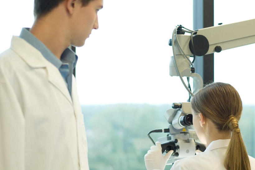 西方人,两个人,站,横图,室内,白天,正面,机器,实验,仪器,植物,窗户,欧洲,欧洲人,检查,研究,反射,分析,科学,显微镜,注视,玻璃窗,树,树木,绿色,自然,观察,看,站着,清晰,探索,生长,放大,成长,观看,仔细,透镜,科研,察看,操作,凸透镜,聚焦,关注,化验,检验,光学,清楚,男人,男性,年轻男性,年轻女性,女人,女性,白种人,站立,半身,彩图