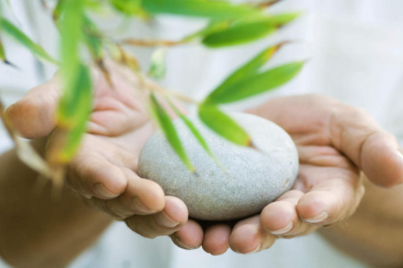 西方人,手,一个人,捧,横图,室内,特写,白天,正面,石头,叶子,欧洲,欧洲人,仅一个男性,仅一个人,一块,朦胧,模糊,石子,绿叶,仅一个年轻男性,手部,嫩叶,男人,男性,年轻男性,白种人,叶,叶片,石块,捧着,手捧,半身,彩图