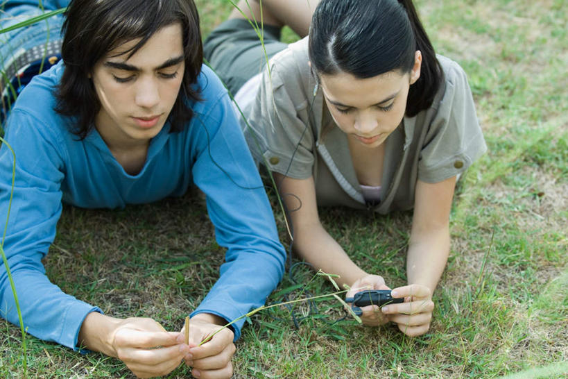 西方人,两个人,夫妻,打电话,横图,俯视,室外,白天,爱情,草地,草坪,植物,电话,手机,欧洲,欧洲人,服装,浪漫,拿,拿着,注视,休闲装,通讯设备,草,衣服,绿色,低头,观察,看,趴着,休闲,休闲服,恩爱,恋人,服饰,观看,察看,关注,一部,交流,男人,男性,年轻男性,年轻女性,女人,女性,白种人,情侣,沟通,趴,通话,半身,彩图,高角度拍摄,伴侣