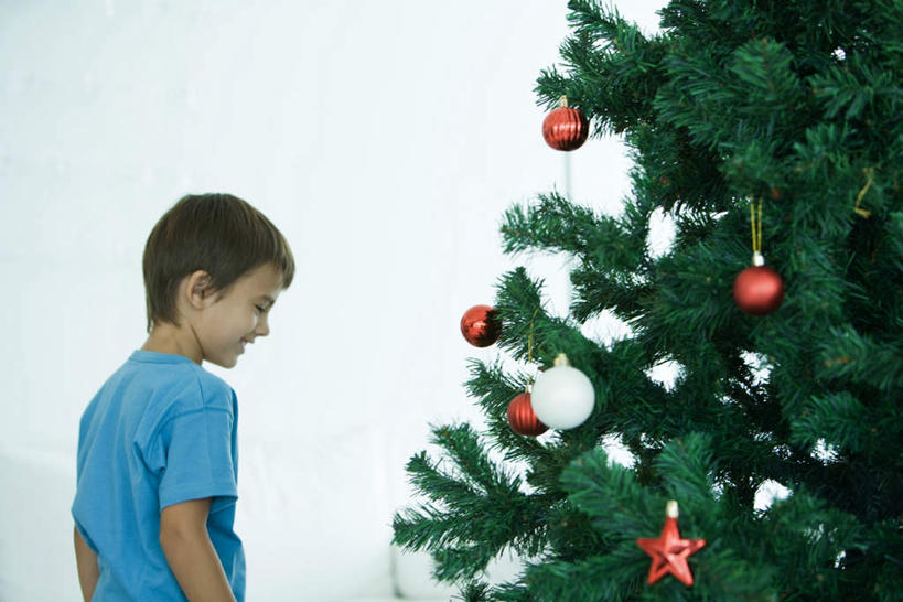 西方人,儿童,一个人,站,笑,微笑,露齿笑,横图,室内,白天,侧面,纯洁,植物,欧洲,圣诞节,欧洲人,仅一个男性,仅一个人,一棵,服装,节日,庆祝,装饰,彩灯,挂饰,墙,圣诞树,圣诞球,注视,休闲装,文化,墙壁,墙面,灯,球,树,树木,小孩,衣服,绿色,自然,低头,观察,看,站着,仅一个小孩,庆典,休闲,球体,休闲服,可爱,童年,童趣,服饰,生长,成长,观看,纪念,华丽,修饰,点缀,察看,关注,童真,烂漫,无邪,衬托,美观,雅致,雅观,天真,男孩,男人,男性,白种人,孩子,站立,半身,彩图,男生