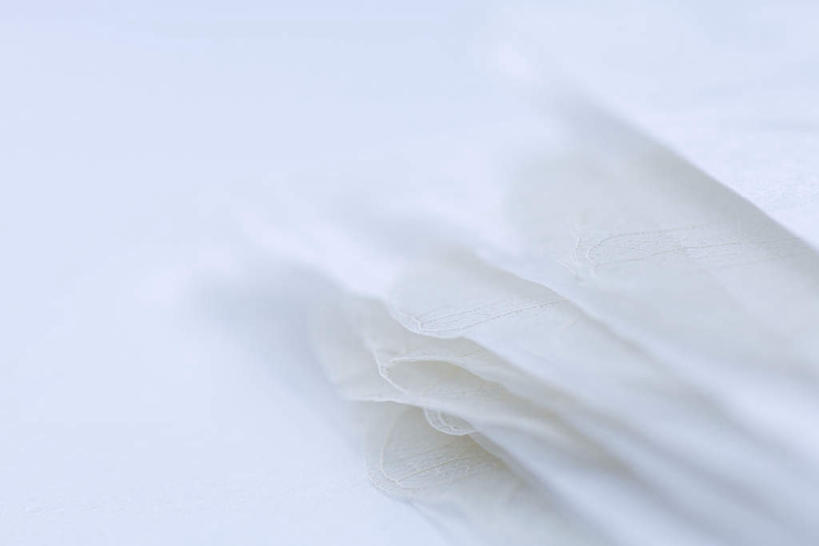 无人,横图,俯视,室内,特写,白天,白色背景,叶子,一堆,许多,堆叠,堆积,网络,纹路,纹理,白色,摄影,影棚,堆,脉络,肌理,叶,叶片,叶脉,彩图,高角度拍摄,影棚拍摄,拍摄