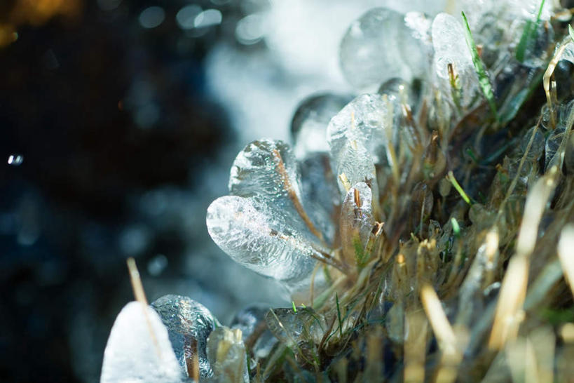 无人,横图,室外,特写,白天,正面,旅游,度假,美景,植物,阴影,枯萎,朦胧,模糊,光线,影子,冰,结冰,景观,枯草,娱乐,草,黄色,阳光,自然,享受,休闲,景色,放松,寒冷,明亮,自然风光,彩图