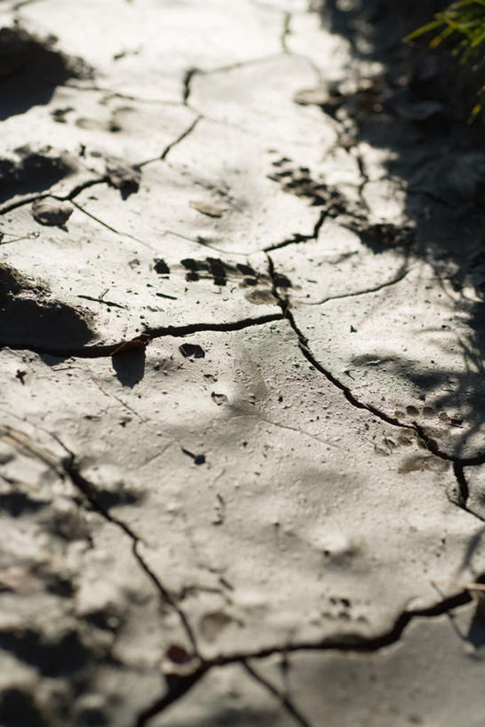 无人,竖图,俯视,室外,特写,白天,草地,美景,阴影,干裂,干燥,光线,影子,景观,泥土,土,草,阳光,自然,景色,块状,干涸,自然风光,彩图,高角度拍摄