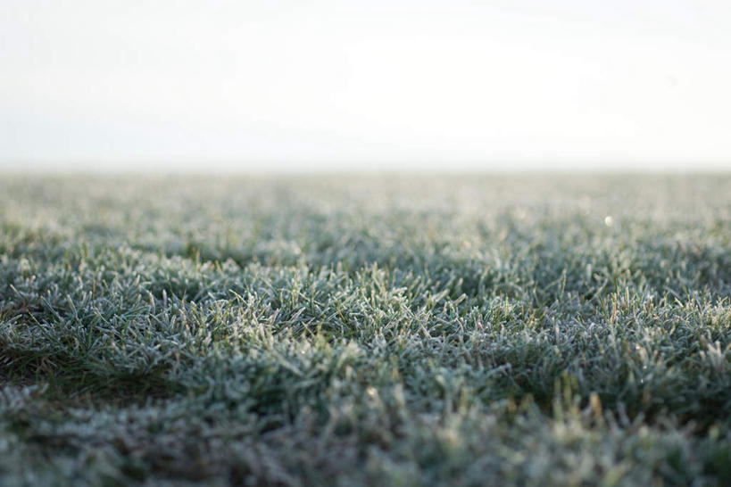 无人,横图,俯视,室外,特写,白天,草地,草坪,美景,植物,许多,阴影,朦胧,模糊,光线,影子,结冰,景观,霜,草,绿色,天空,阳光,自然,天,景色,寒冷,自然风光,彩图,高角度拍摄