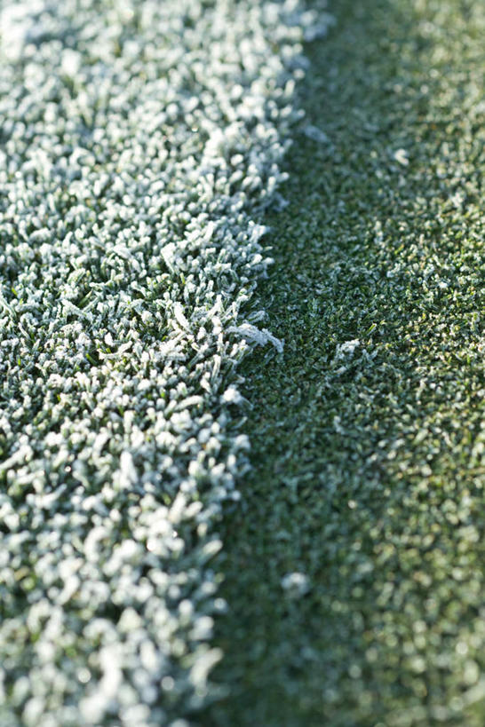 无人,竖图,俯视,室外,特写,白天,草地,草坪,美景,植物,阴影,光线,纹理,影子,景观,霜,草,绿色,阳光,自然,景色,寒冷,自然风光,冻结,彩图,高角度拍摄