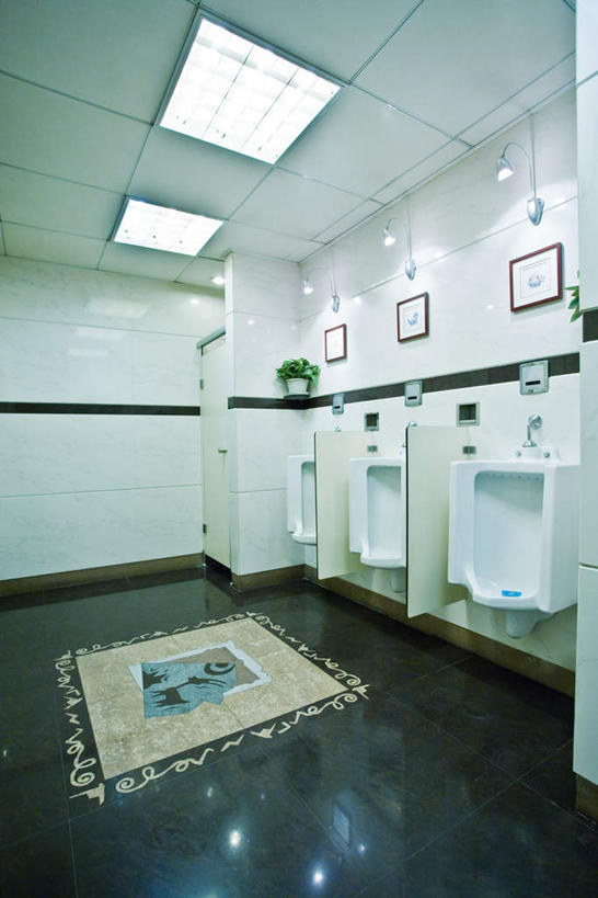 无人,竖图,室内,白天,正面,植物,地毯,天花板,卫生间,洗手间,一排,整齐,装饰,编织,瓷砖,地砖,盆栽,手工艺品,墙,灯光,盆景,织物,地面,顶灯,墙壁,墙面,灯,排列,绿色,白色,黑色,自然,工艺品,灯具,生长,成长,华丽,修饰,点缀,照明设备,队列,挂画,纯净,衬托,美观,雅致,雅观,小便器,厕所,彩图