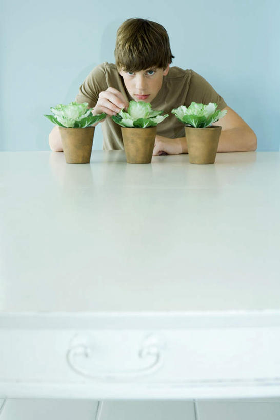 西方人,儿童,一个人,坐,摸,竖图,室内,白天,正面,纯洁,植物,餐桌,桌子,欧洲,欧洲人,仅一个男性,仅一个人,撑,抚摸,盆栽,墙,盆景,注视,墙壁,墙面,小孩,绿色,自然,低头,看,趴着,仅一个小孩,可爱,童年,童趣,生长,成长,餐台,三盆,撑着,童真,烂漫,无邪,天真,男孩,男人,男性,白种人,孩子,触摸,接触,趴,坐着,半身,彩图,男生