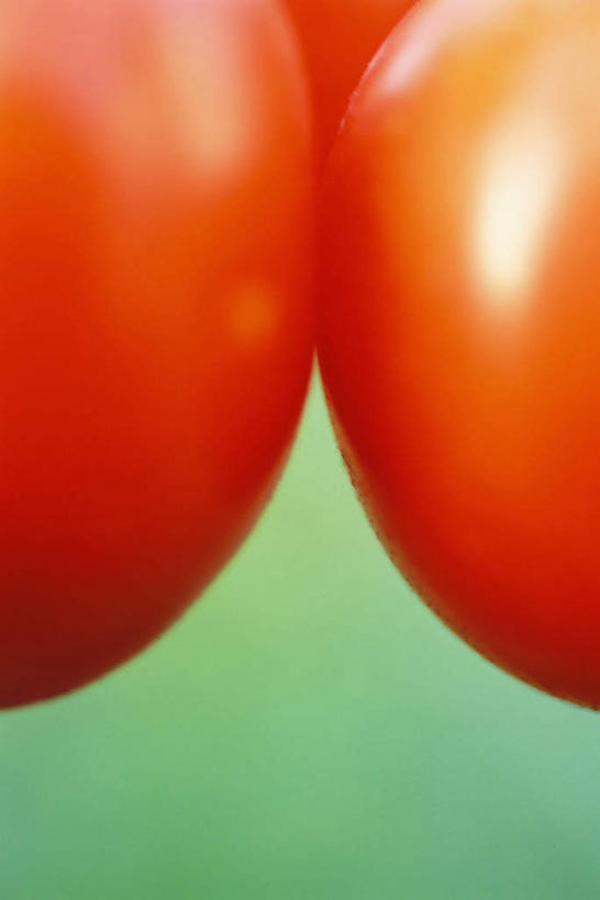 无人,竖图,室外,特写,白天,正面,美景,蔬菜,西红柿,朦胧,模糊,新鲜,景观,食品,食物,三个,红色,自然,景色,有机食品,绿色食品,自然风光,樱桃番茄,圣女果,番茄,彩图