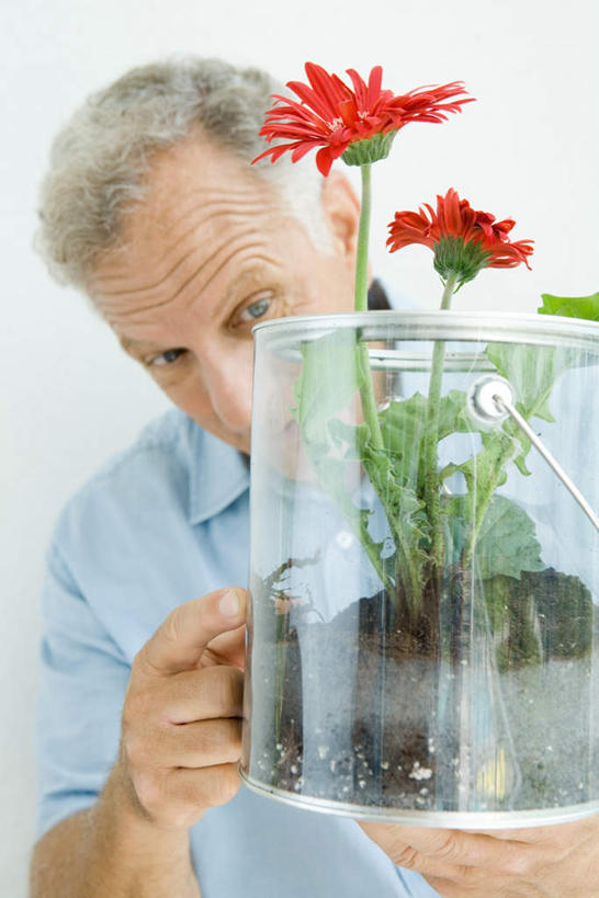 西方人,手,一个人,站,竖图,室内,白天,白色背景,正面,植物,叶子,欧洲,欧洲人,仅一个男性,仅一个人,指,环保,盛开,纱布,绿叶,非洲雏菊,拿,拿着,方向,雏菊,花,花瓣,花朵,花卉,鲜花,两朵,红色,花蕊,手势,站着,仅一个老年男性,手部,嫩叶,菊花,摄影,影棚,回收,资源,包扎,指向,利用,低碳,循环,老年男性,男人,男性,白种人,叶,叶片,站立,半身,彩图,影棚拍摄,拍摄