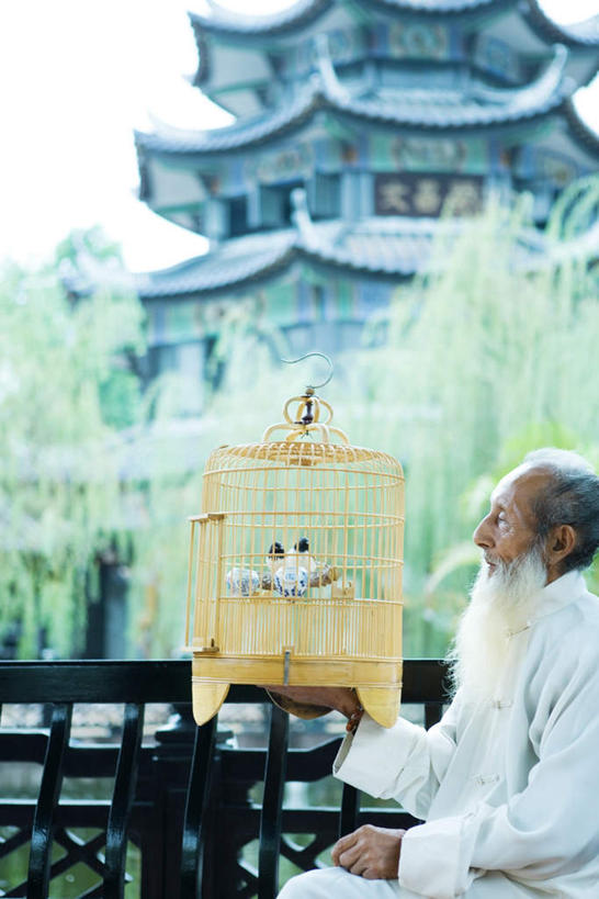 东方人,胡须,一个人,寺庙,坐,竖图,室外,白天,侧面,鸟,亚洲,仅一个男性,仅一个人,节日,塔,鸟笼,塔楼,燃烧,黄种人,文化,佛塔,一只,动物,香火,庙宇,祈祷,仅一个老年男性,健康,许愿,宗教,信仰,纪念,祈求,平安,老年男性,男人,男性,亚洲人,胡子,络腮胡,坐着,半身,彩图,庙,寺