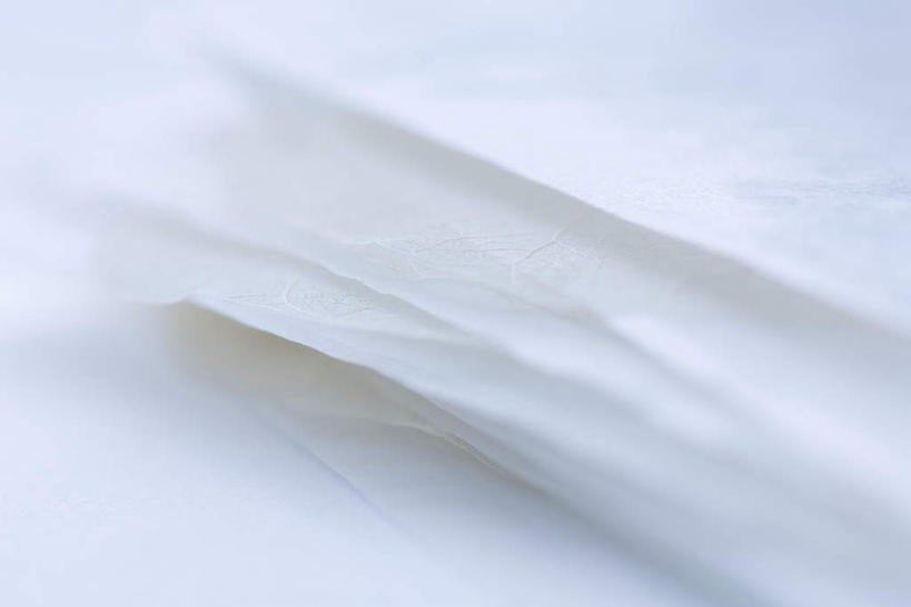 无人,横图,俯视,室内,特写,白天,白色背景,叶子,一堆,许多,堆叠,堆积,枯萎,干枯,纹理,枯叶,树叶,摄影,影棚,堆,肌理,叶,叶片,叶脉,彩图,高角度拍摄,影棚拍摄,拍摄