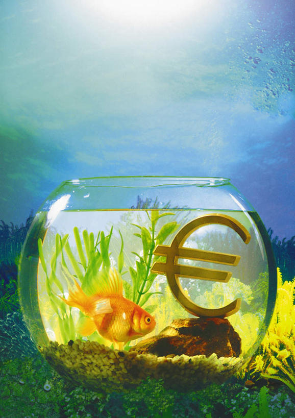 无人,竖图,室内,特写,白天,正面,草地,草坪,植物,野生动物,一条,阴影,朦胧,模糊,光线,金鱼,标志,符号,文字,影子,字符,字母,欧元,标识,玻璃制品,草,绿色,阳光,动物,玻璃缸,彩图,全身