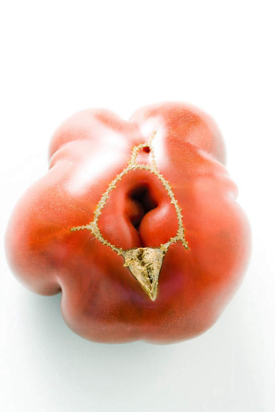 无人,竖图,室内,特写,白天,白色背景,正面,西红柿,水果,阴影,朦胧,模糊,新鲜,反射,影子,生食,食品,果实,食物,一个,红色,整个,摄影,有机食品,绿色食品,影棚,单个,番茄,彩图,影棚拍摄,拍摄