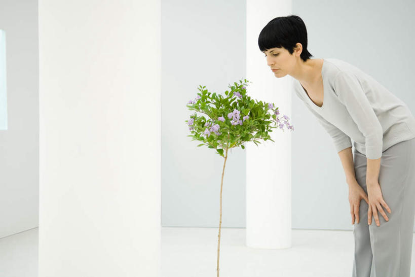 西方人,一个人,站,横图,室内,白天,侧面,植物,欧洲,欧洲人,仅一个女性,仅一个人,弯腰,服装,盆栽,柱子,盆景,注视,休闲装,衣服,绿色,自然,观察,看,站着,仅一个中年女性,休闲,休闲服,门柱,服饰,生长,成长,观看,鞠躬,察看,关注,弯身,女人,女性,中年女性,白种人,站立,半身,彩图