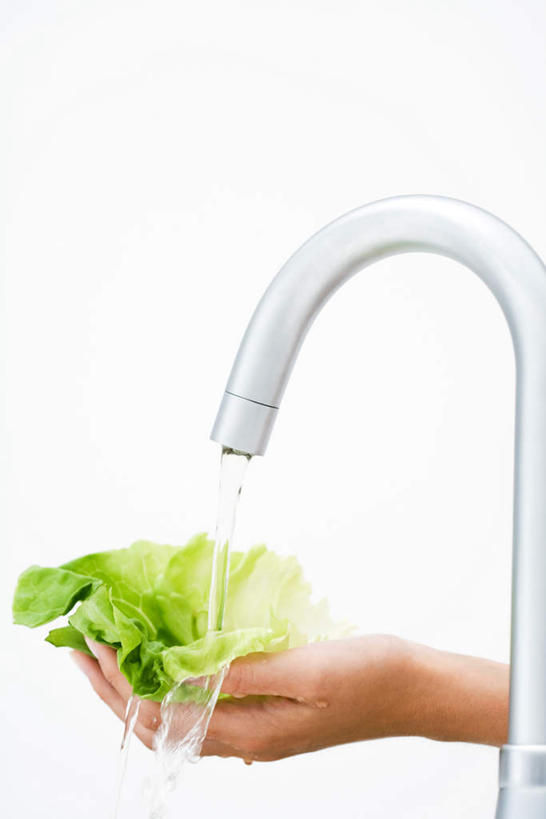 西方人,一个人,竖图,室内,特写,白天,白色背景,侧面,厨房,蔬菜,欧洲,欧洲人,仅一个年轻女性,仅一个女性,仅一个人,握,洗,新鲜,水龙头,莴苣,莴笋,食品,拿,拿着,食物,握着,摄影,有机食品,绿色食品,影棚,单手,香笋,年轻女性,女人,女性,白种人,清洗,半身,彩图,影棚拍摄,拍摄,灶间