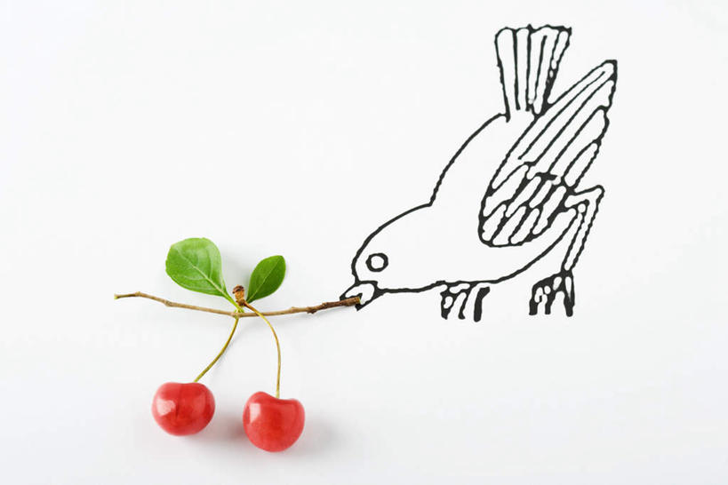 无人,吃,横图,俯视,插画,室内,特写,白天,数码,科技,鸟,樱桃,叶子,阴影,网络,鸟类,绿叶,高光,几何,计算机图形,合成,图画,画,两个,红色,绿色,嫩叶,电脑合成图,数码合成图,叼,漫画,写实,具体,具象,叶,叶片,樱珠,莺桃,英桃,楔桃,牛桃,荆桃,嚼,食,彩图,高角度拍摄